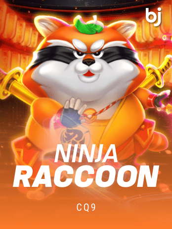 Ninja Raccoonpng